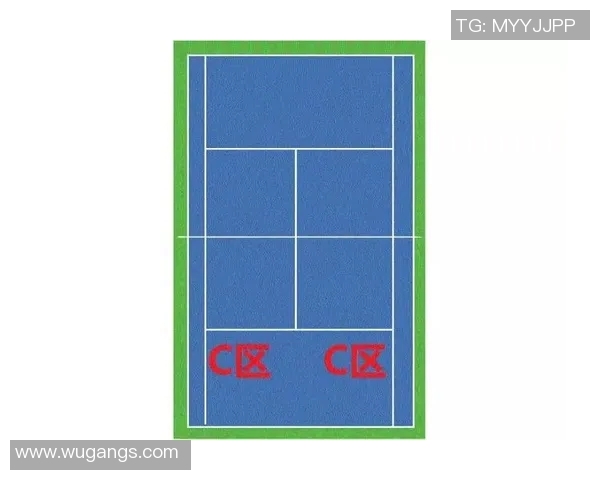 重庆网球队防反体系解析与战术运用探讨 重庆网球队防反体系解析与战术运用探讨