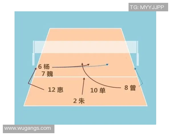 重庆排球队配合战术深度解析与对比分析