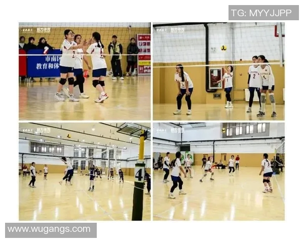 广州排球队技术揭秘：排球巨献背后的训练与战术分析